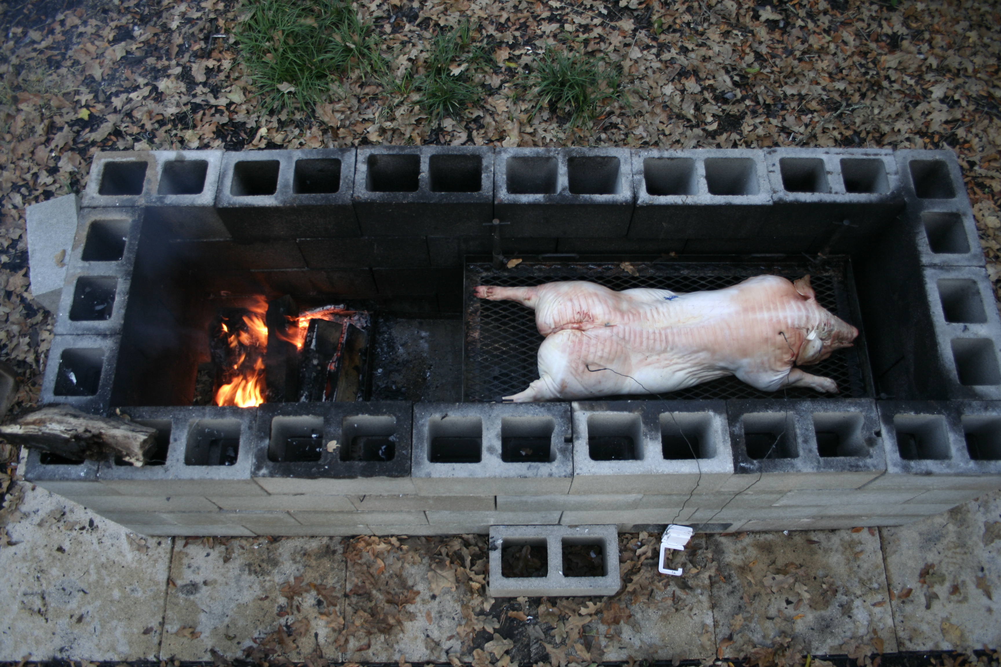 Whole pig cooking in Texas Barbecue - Texas Barbecue