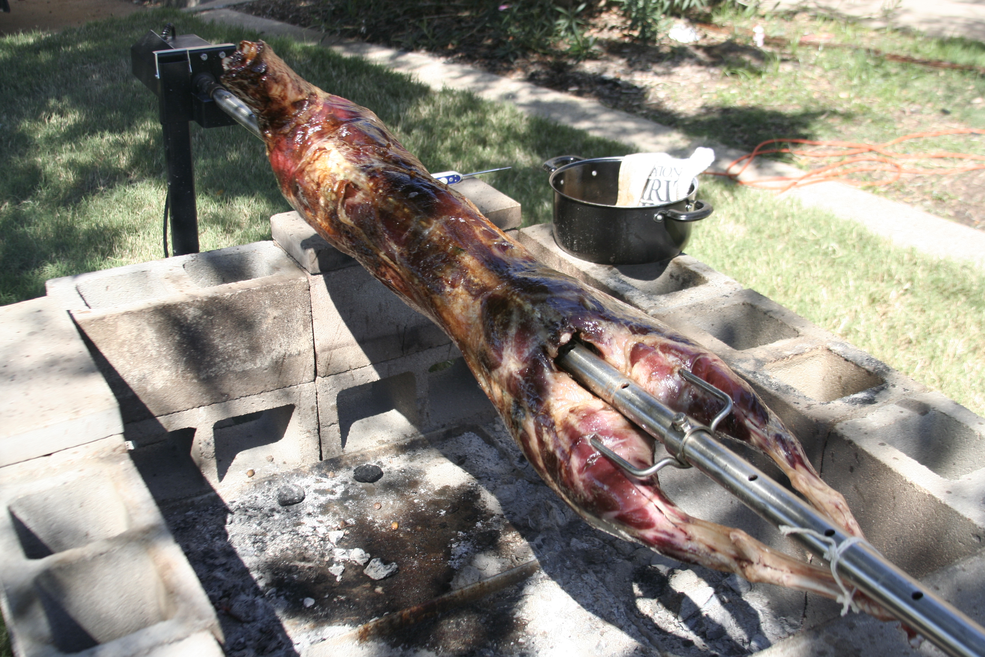 Goat carcass on spit - Texas Barbecue