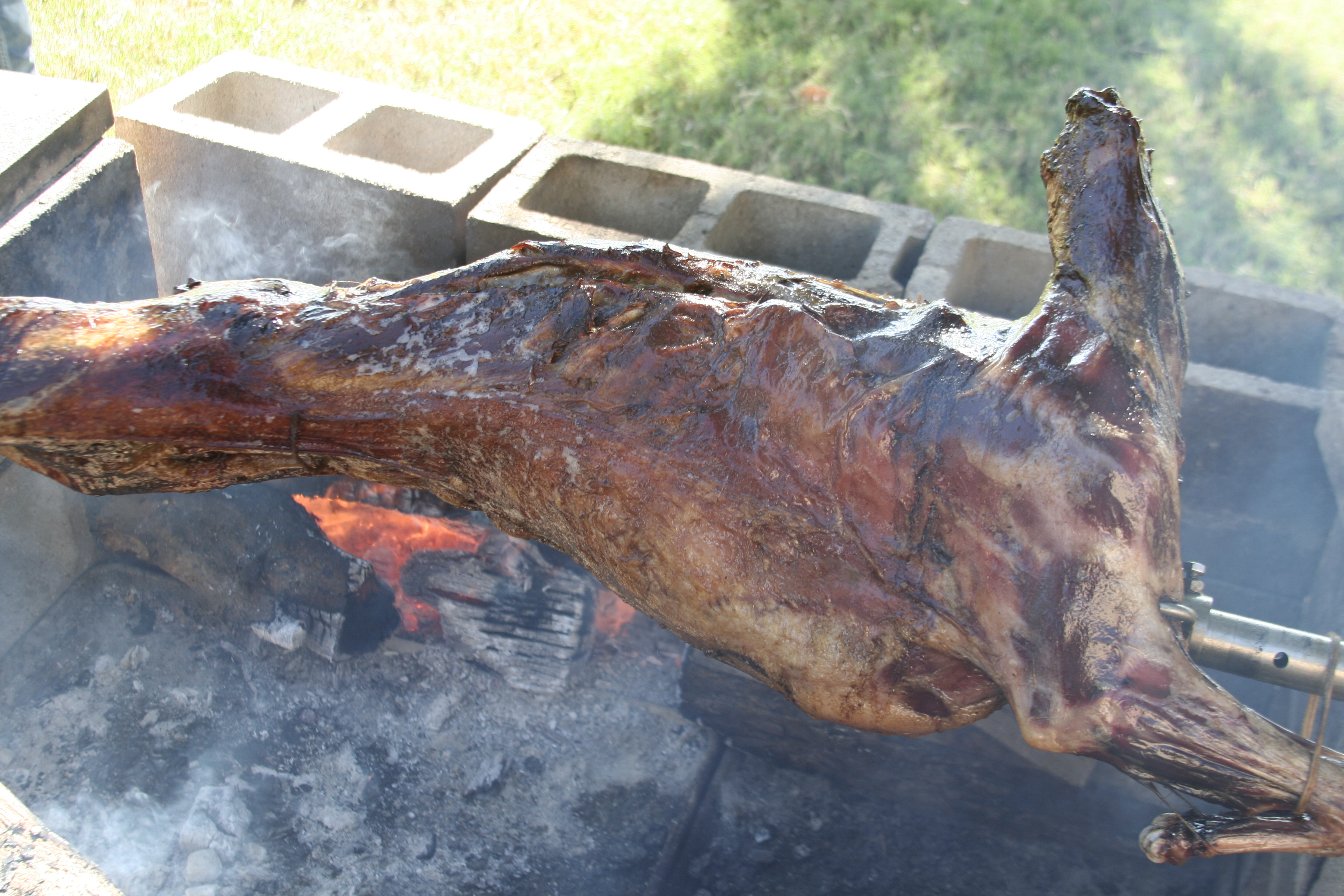 Goat roasting over oak fire