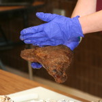 Crystal showing how to slice tri-tips