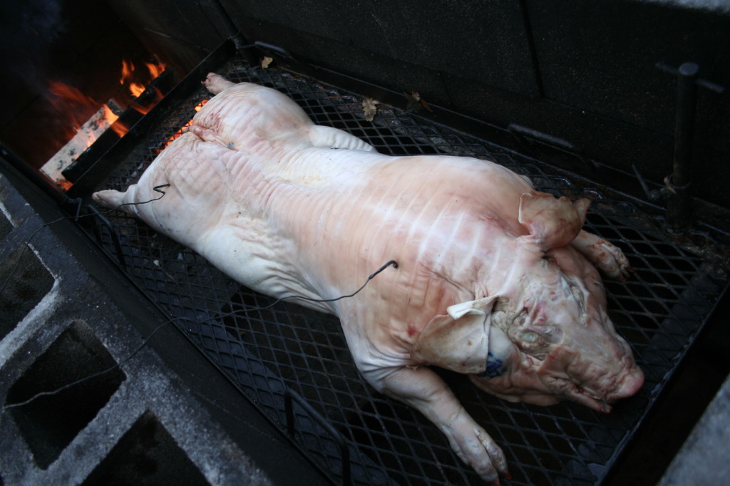 Roasting pig for Texas Barbecue