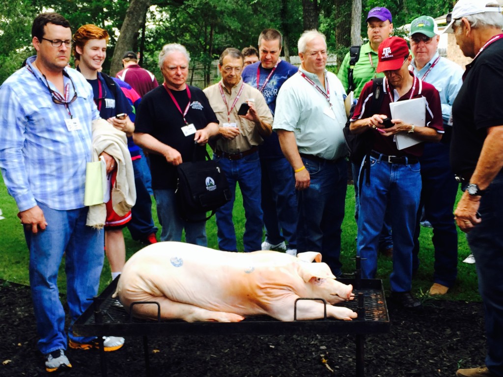 Participants looking at the pig before it is placed in cinder-block pit