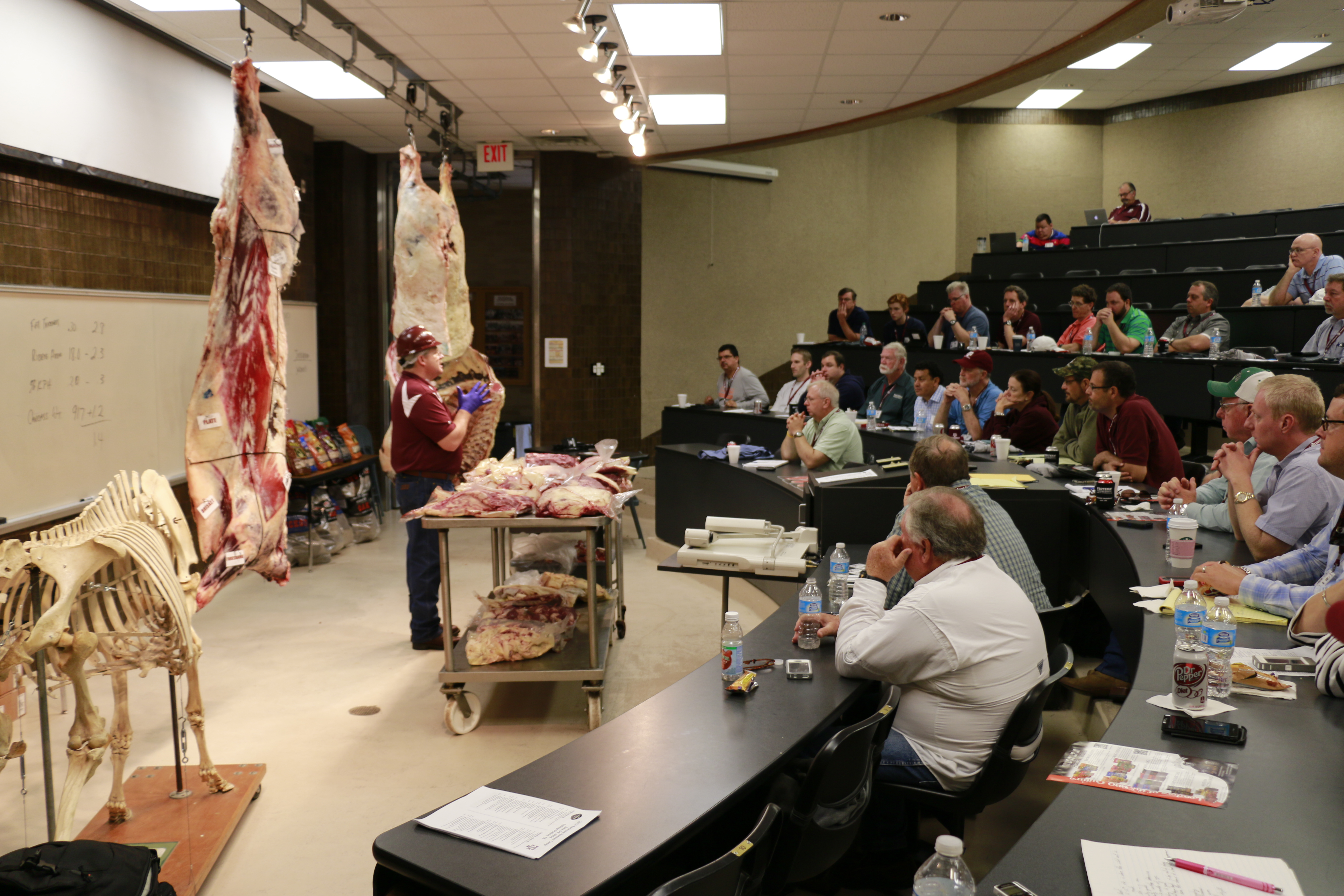 Davey Griffin with beef carcasses and cuts