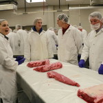 Lindsey Mehall showing rib and loin subprimals