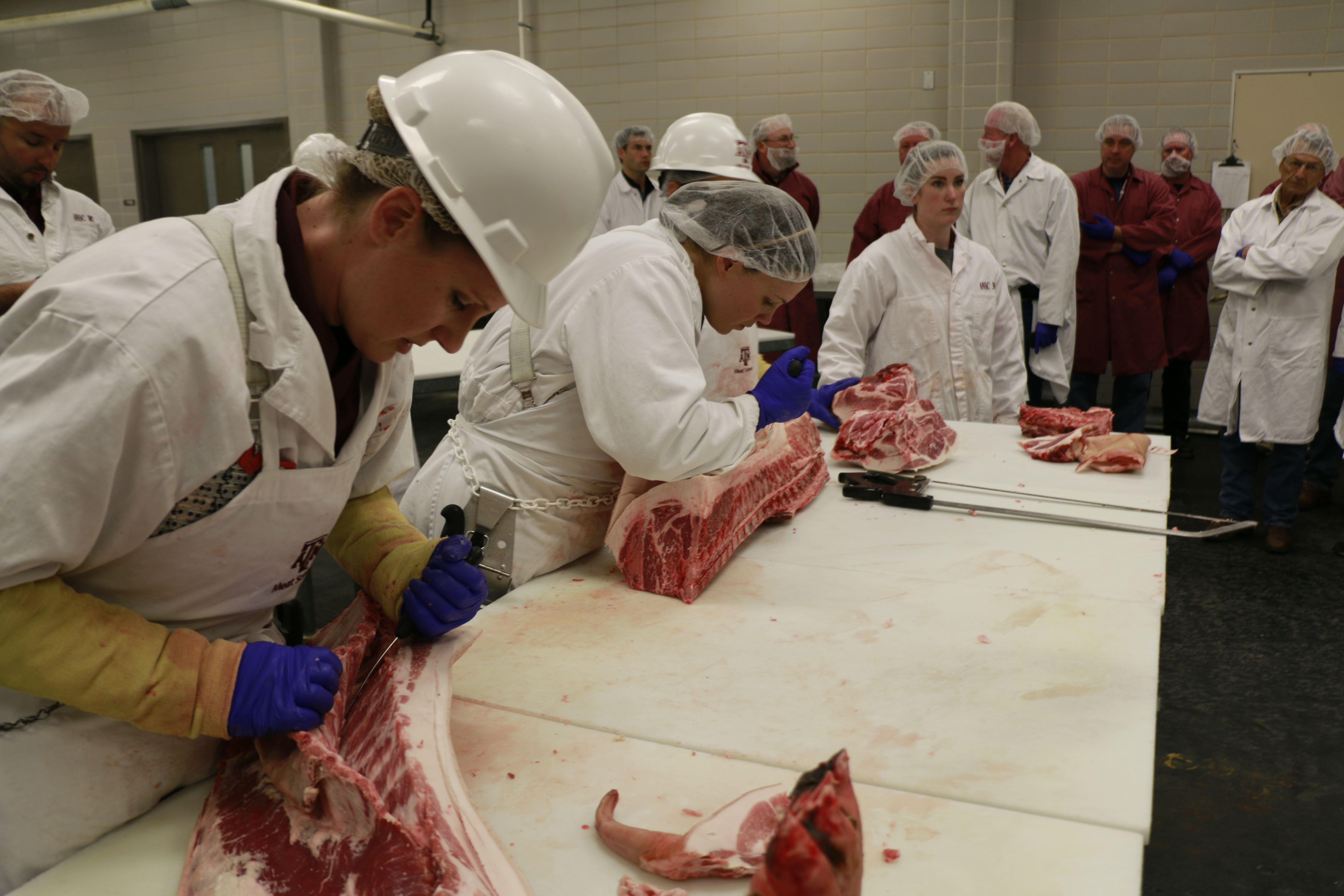 Graduate students cutting pork carcass