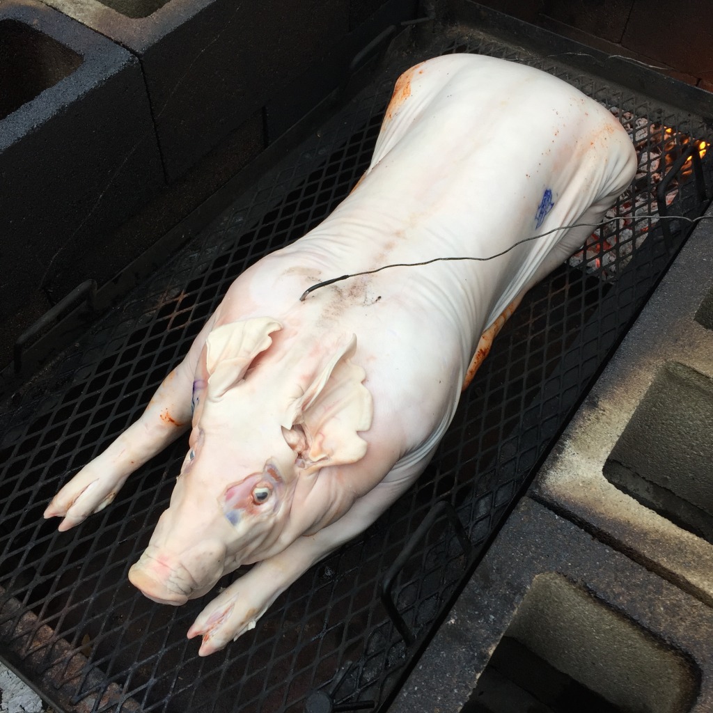 Whole pig with iGrill probes inserted in the shoulder and ham