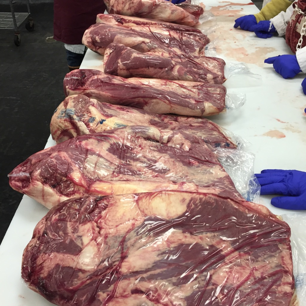 Briskets for Camp Brisket