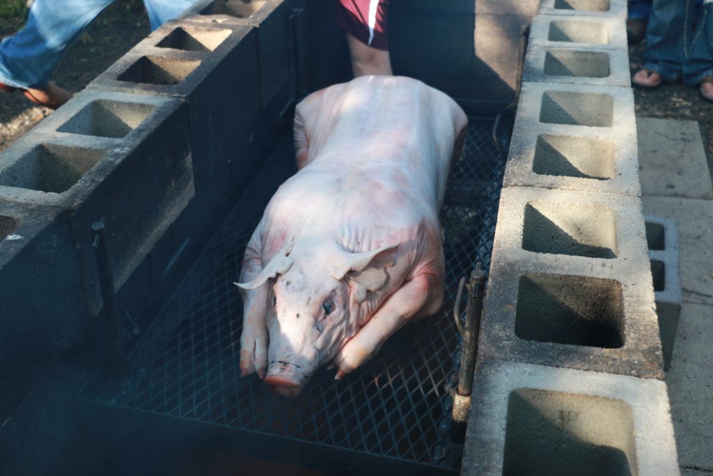 Pig on cinder-block smoker