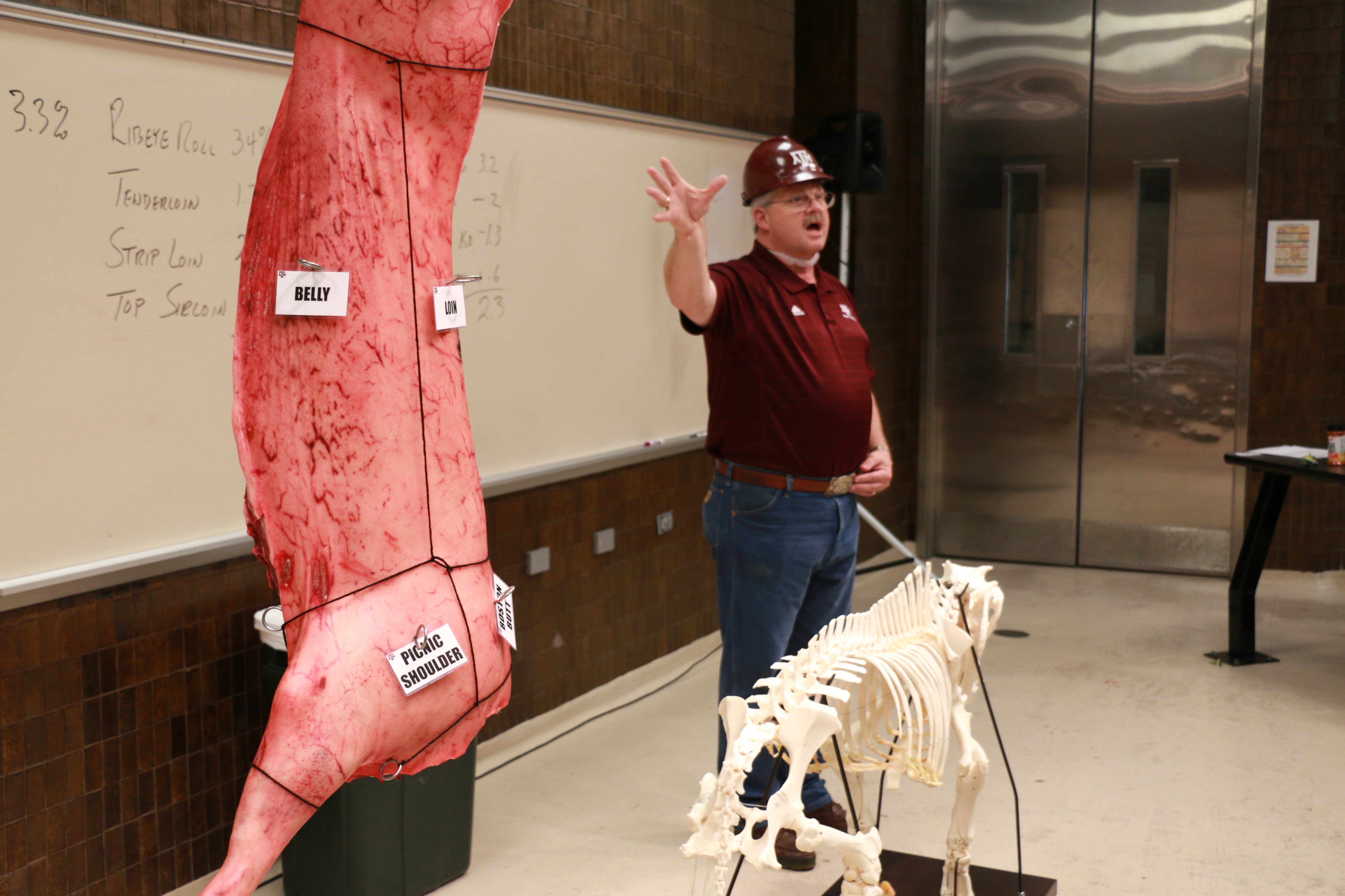 Davey Griffin discussing pork carcass anatomy