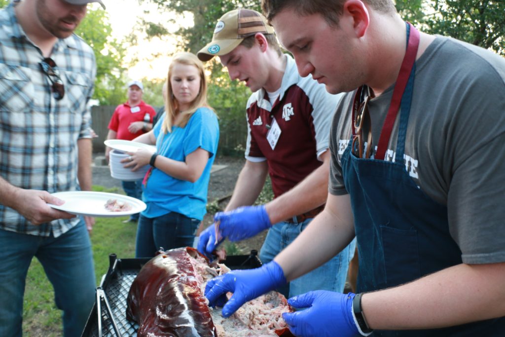 Pulling pork from cooked pig