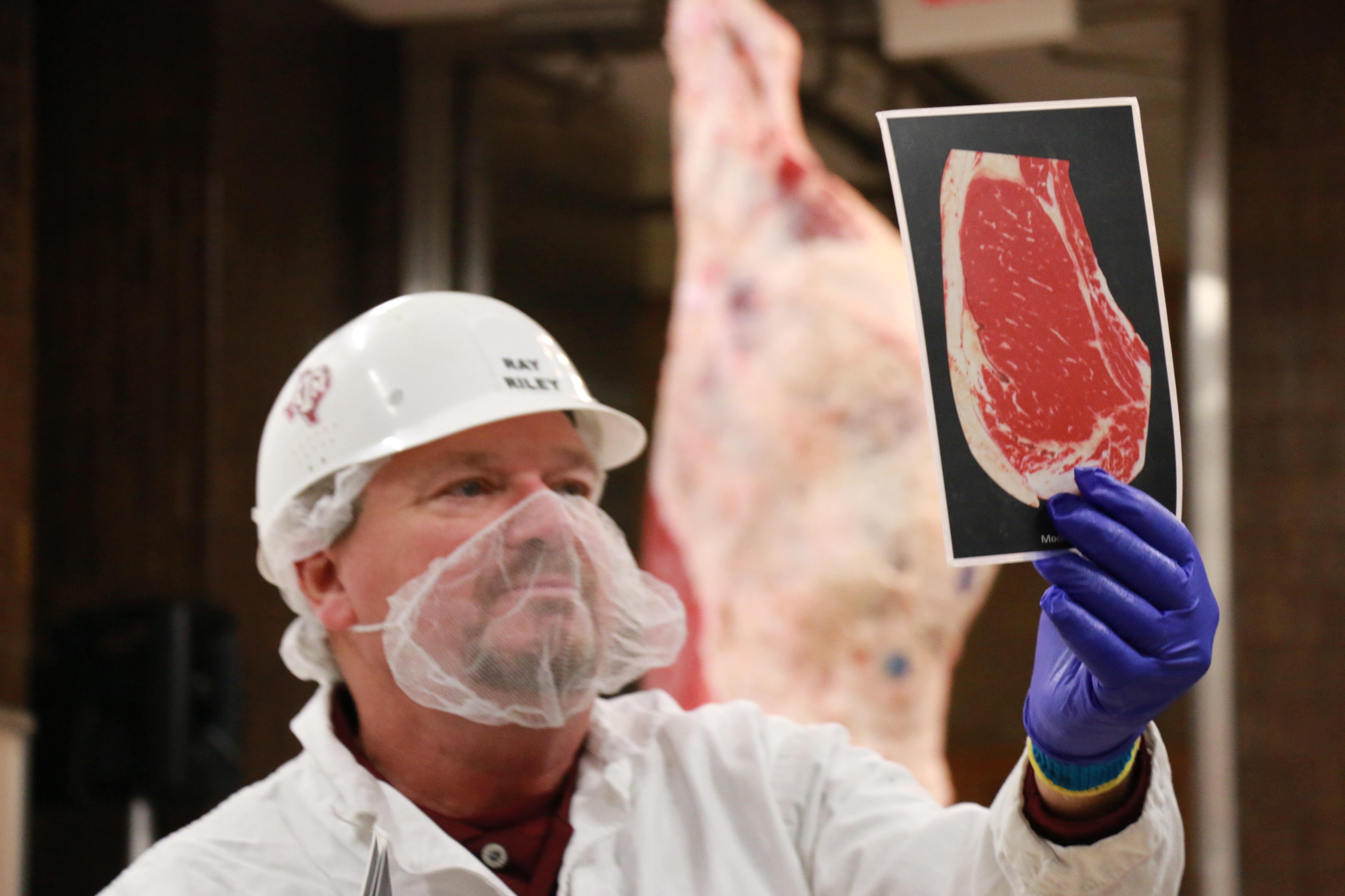 Ray Riley showing marbling card used in USDA beef quality grading