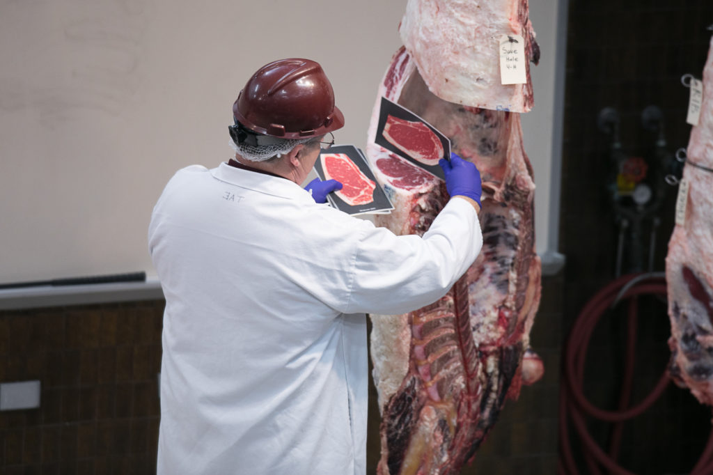 Davey Griffin showing beef marbling comparison for grading.