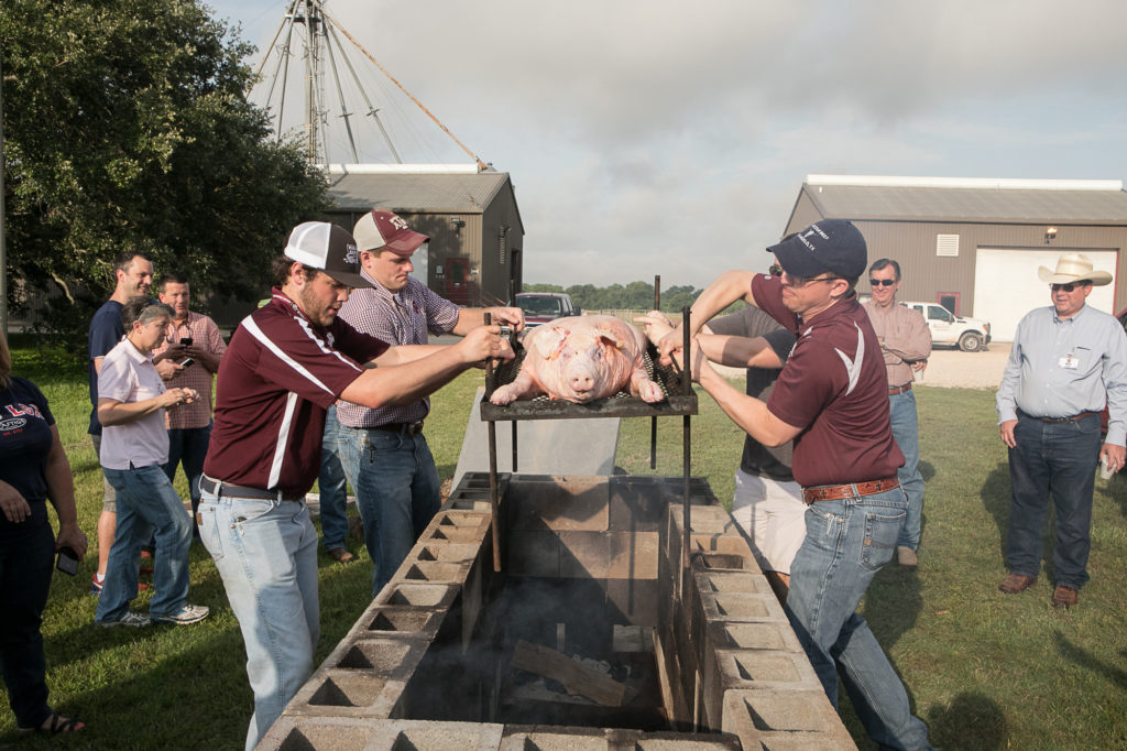 Pig pit crew putting the pig in to start cooking.