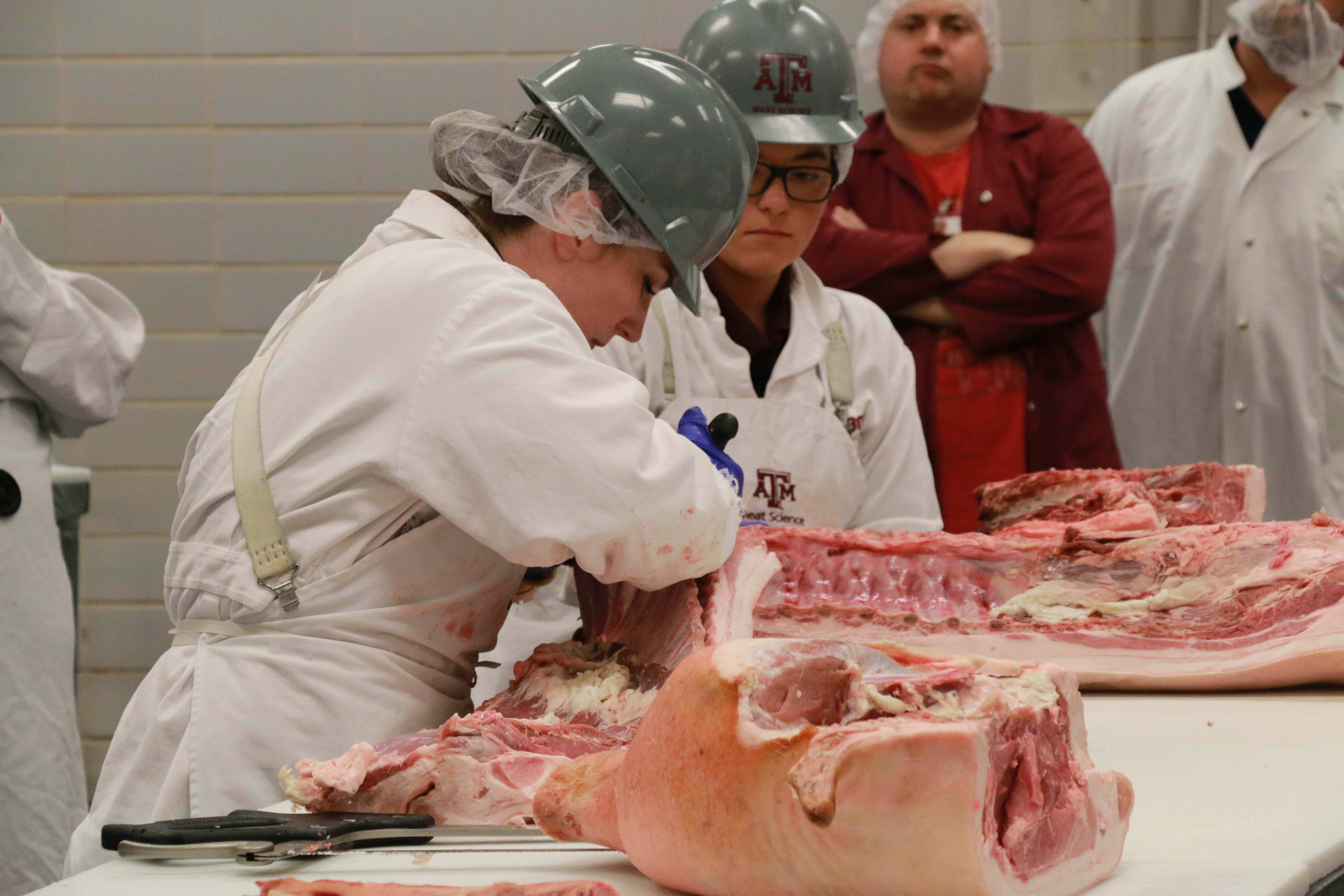 Clay Eastwood and Chandler Steele breaking down a pork carcass