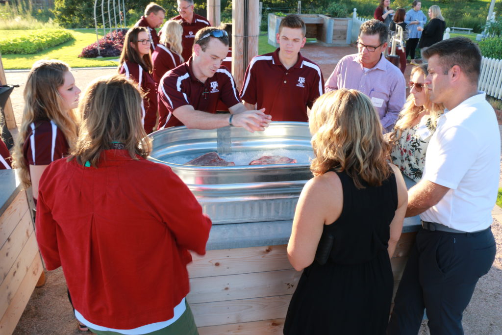 Eric, Brogan, and Wade talking about the best briskets for barbecuing