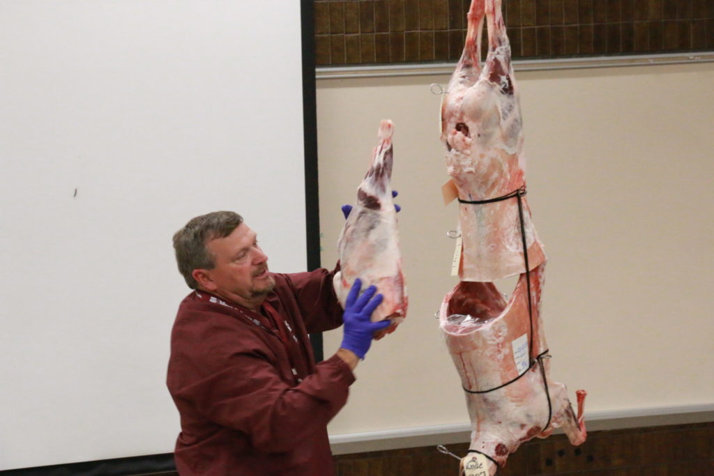 Ray showing where the lamb leg is located