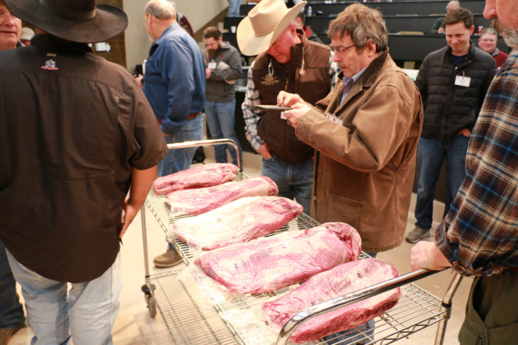 Looking at the different grades of beef briskets