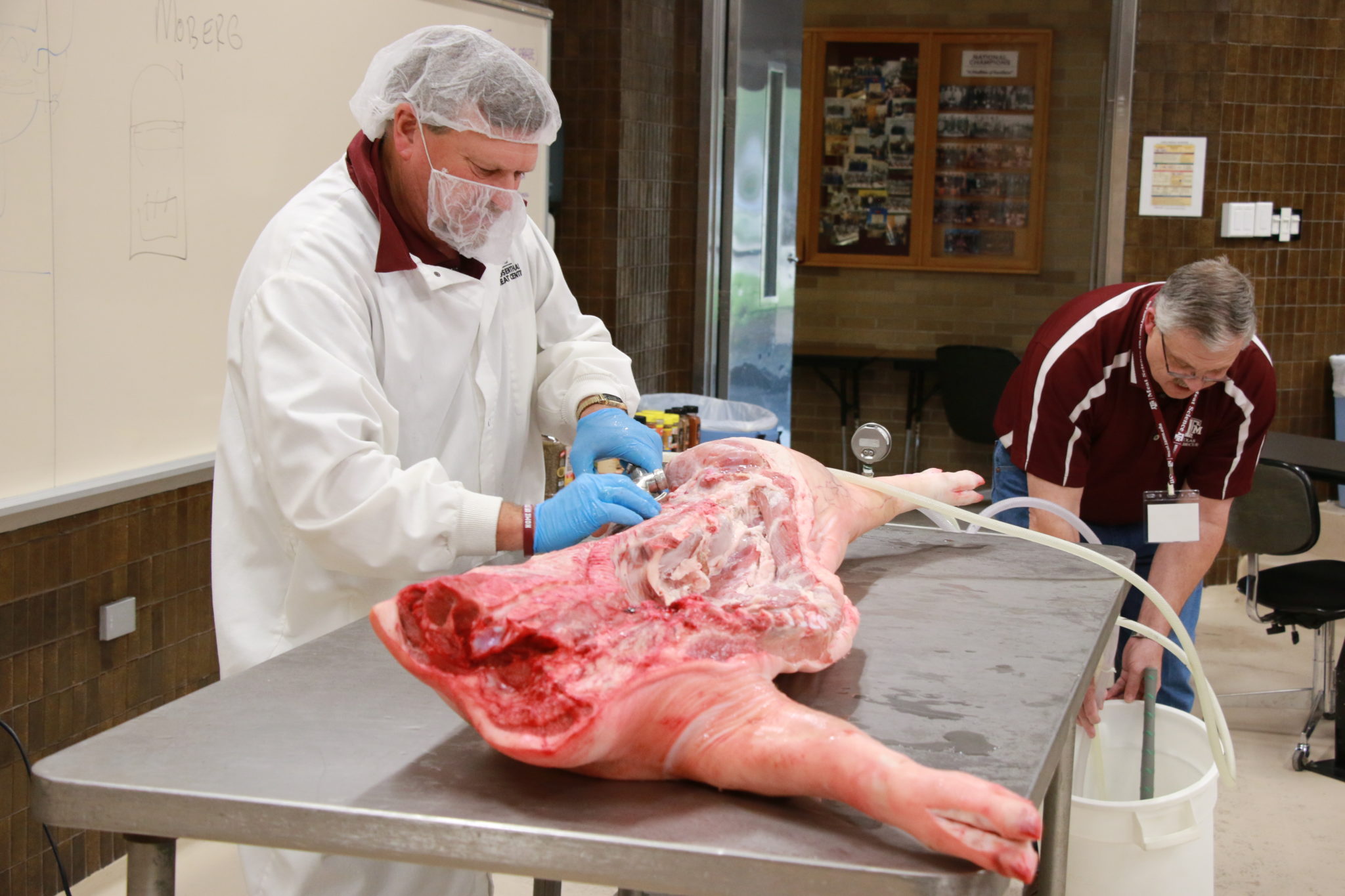 Ray Riley and Davey Griffin pumping brine in pork carcass side