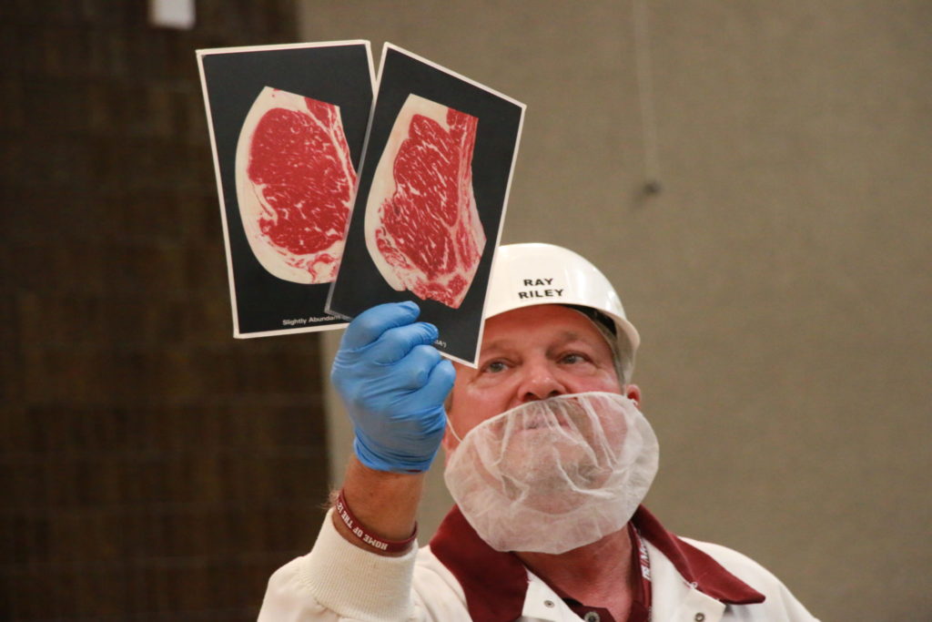 Ray Riley showing marbling requirements for Prime Beef at Camp Brisket